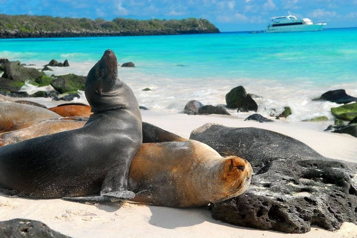 Islas Galápagos