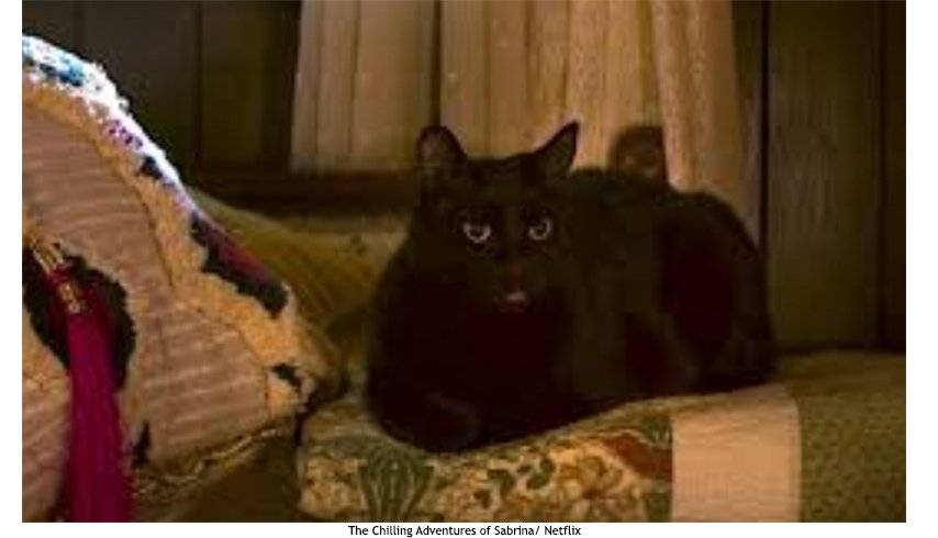 salem