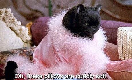 salem