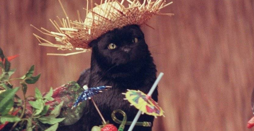 salem