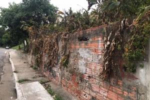 ratos vila formosa