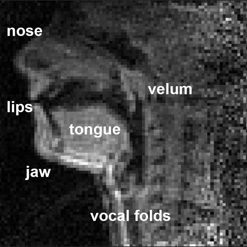La ciencia del Beat Box: Video revela lo que pasa en el cuerpo de quienes lo practican