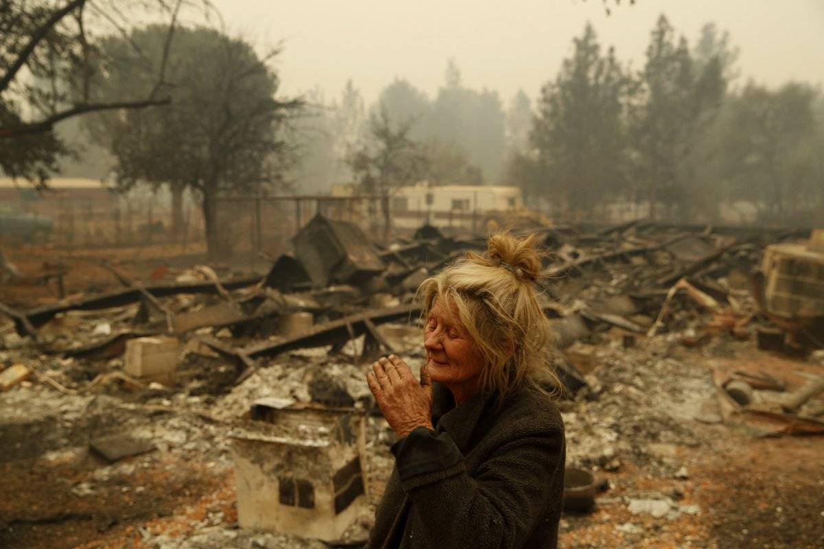 Mueren 31 por incendios forestales en California Mueren 31 por incendios forestales en California