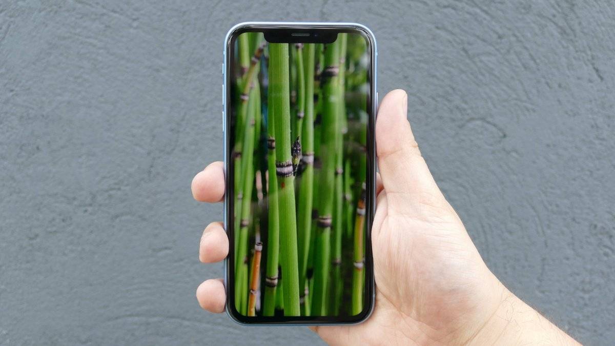 iPhone XR