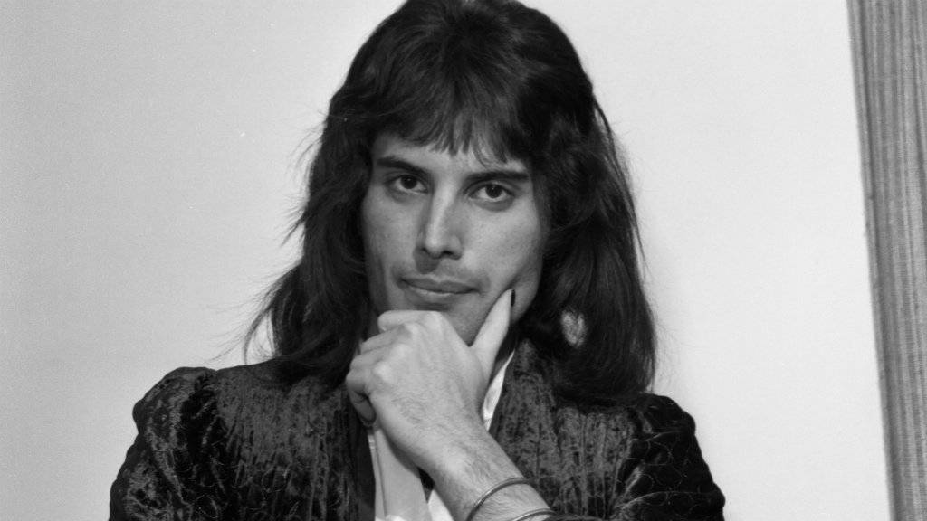103956962freddiebbc-007a727e206218d0ca8eca35908db8e9.jpg
