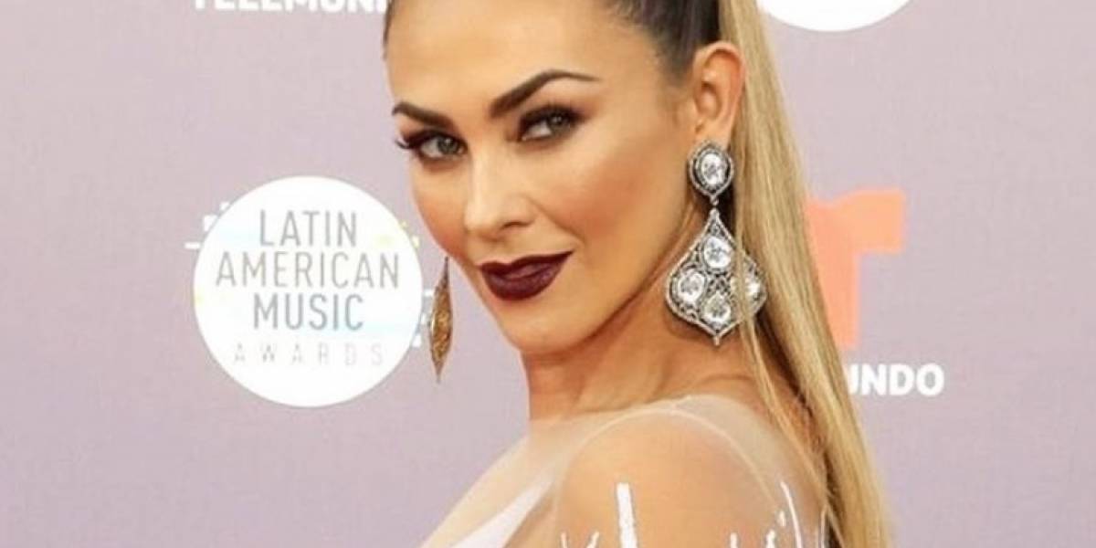 El video de Aracely Arámbula cocinando con sexy bikini