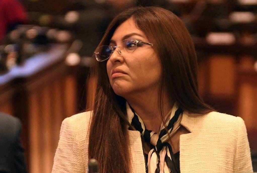Asamblea Nacional destituyó a la legisladora Sofía Espín