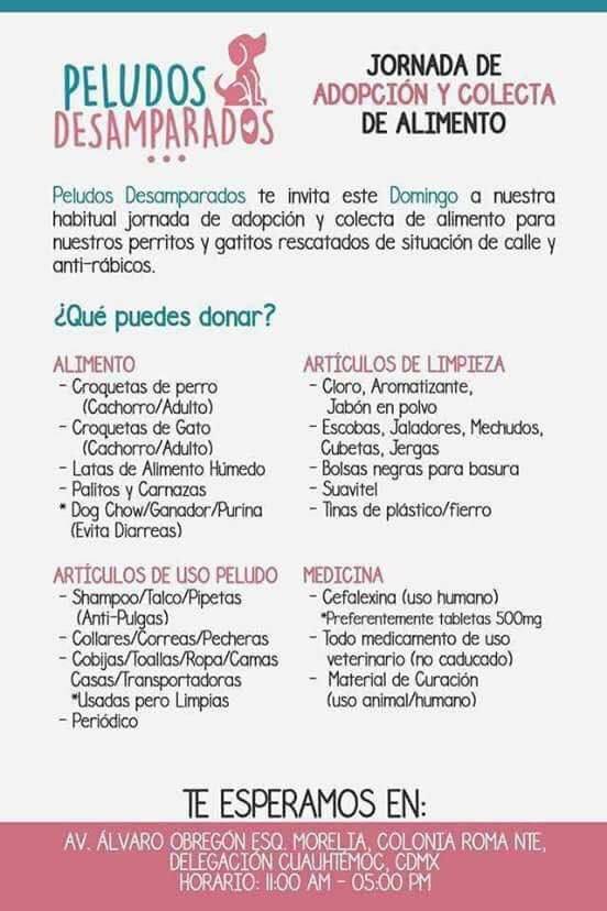 Sociedad protectora