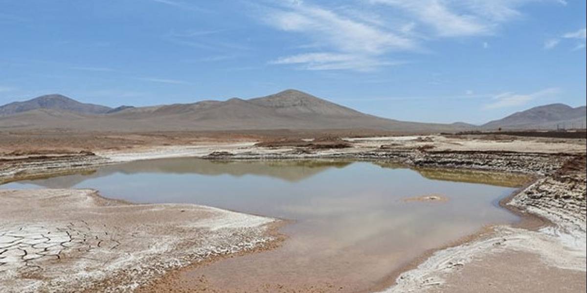 La lluvia ha devastado la vida del desierto de Atacama y estudio plantea similitud con Marte