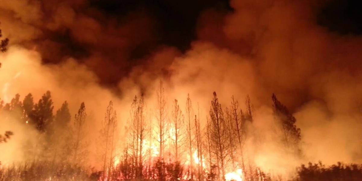 Físicos chilenos podrían tener la clave para detener propagación del fuego en incendios