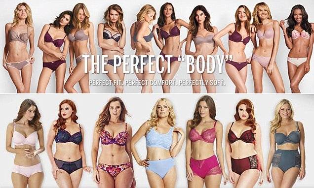 the perfect body