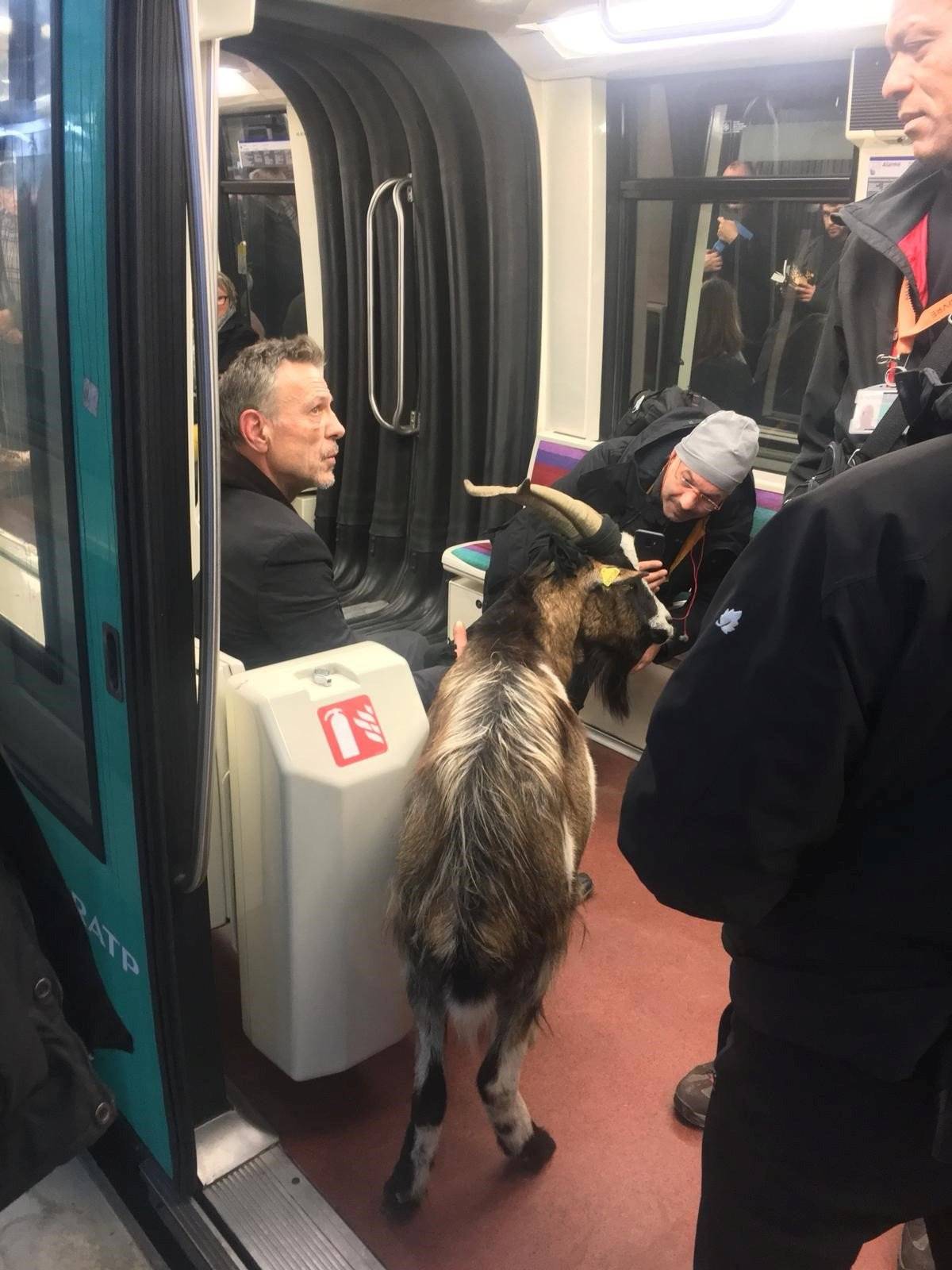 cabra metrô de paris
