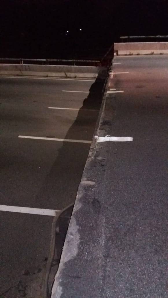 marginal pinheiros
