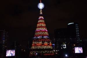 https://www.publinews.gt/gt/tendencias/2018/11/17/publico-disfruta-del-festival-arbol-gallo-2018-en-guatemala.html