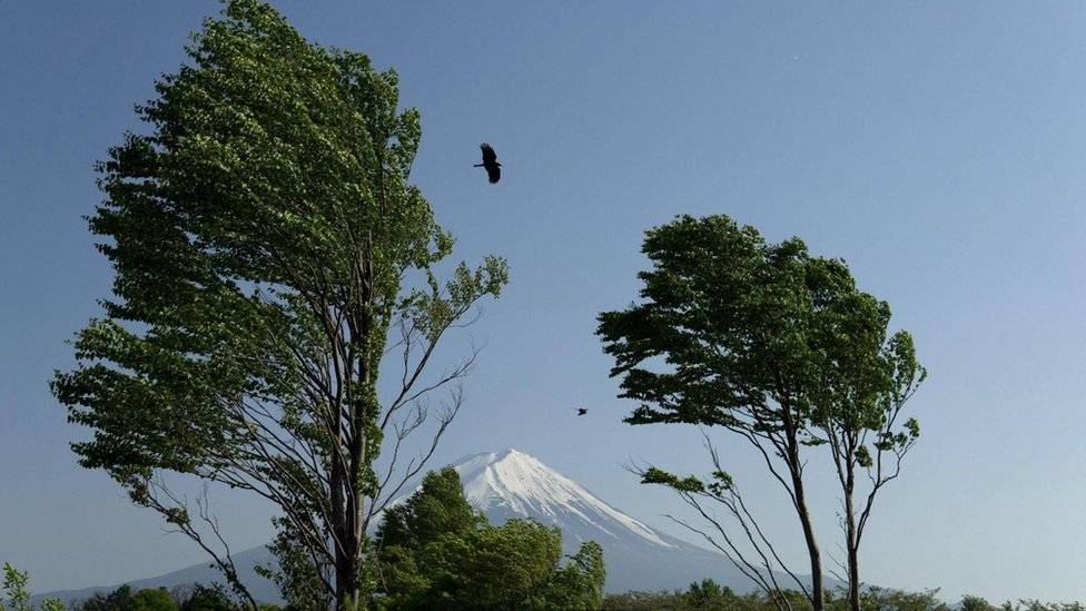 104395820japanztw-f31504fe131cba7d321ae9b8365e5999.jpg