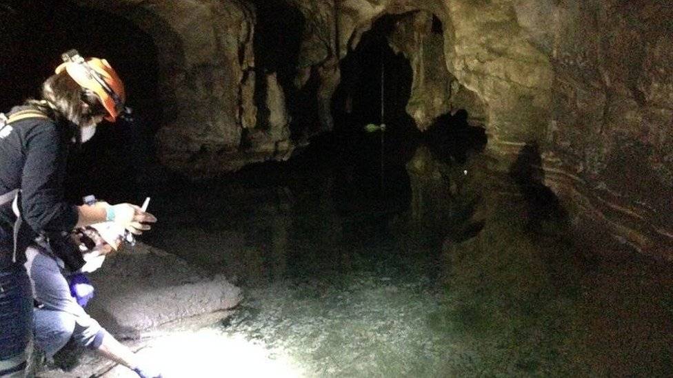 104411284inthecave-755f9c17adf4ae3a850997b36c8f1a57.jpg