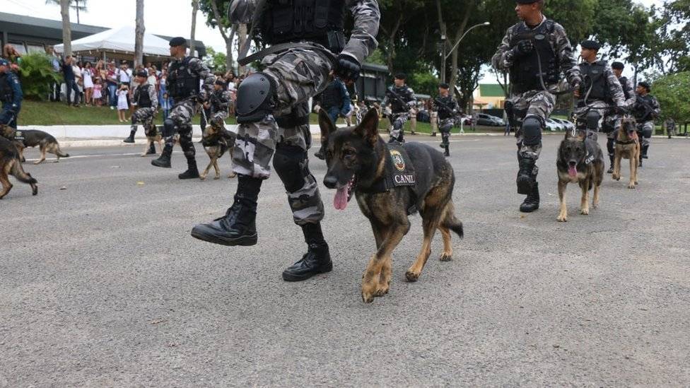 104310236violencia3-8e8a1fdf2b0a32735e52a645ad0979dc.jpg