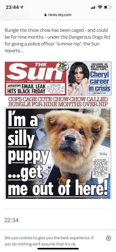 bungle