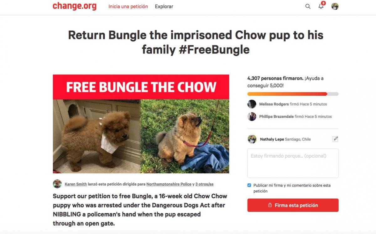 bungle