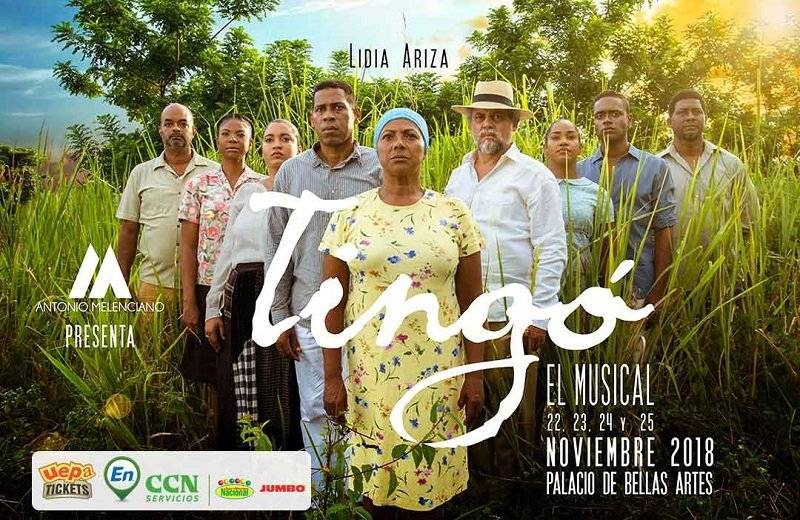 Tingó, el musical