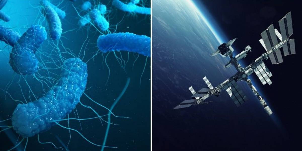 Una bacteria está mutando en el espacio y podría representar una seria amenaza