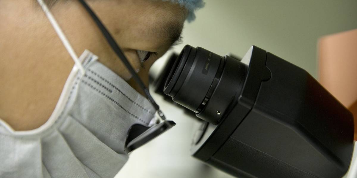 Un científico chino logró crear bebés genéticamente editados y ahora está desaparecido