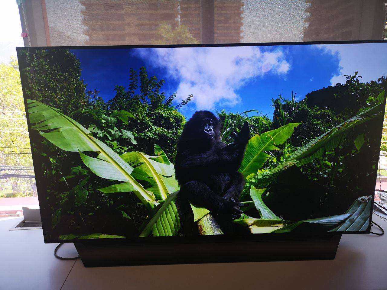 LG Oled C8 LG Oled C8