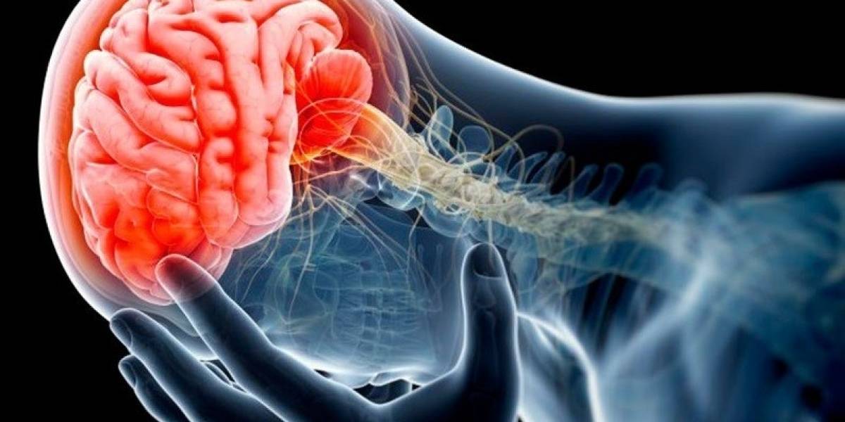 Científicos afirman que la enfermedad del Parkinson se origina en los Intestinos