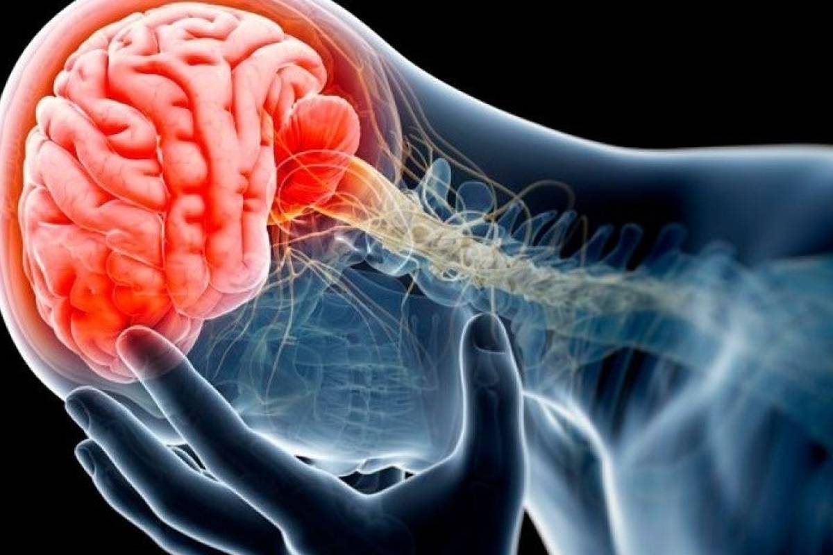 Científicos afirman que la enfermedad del Parkinson se origina en los Intestinos