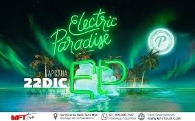 Electric Paradise