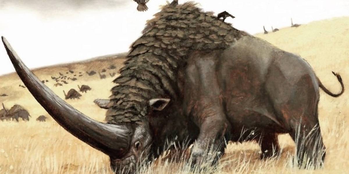 Revelan los extraños secretos del "unicornio de Siberia" y la razón de su desaparición