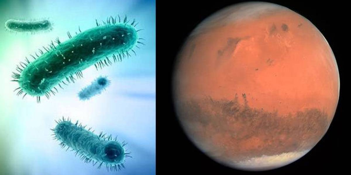 Vida extraterrestre: Científicos miran el desierto y altiplano chileno en busca de respuestas