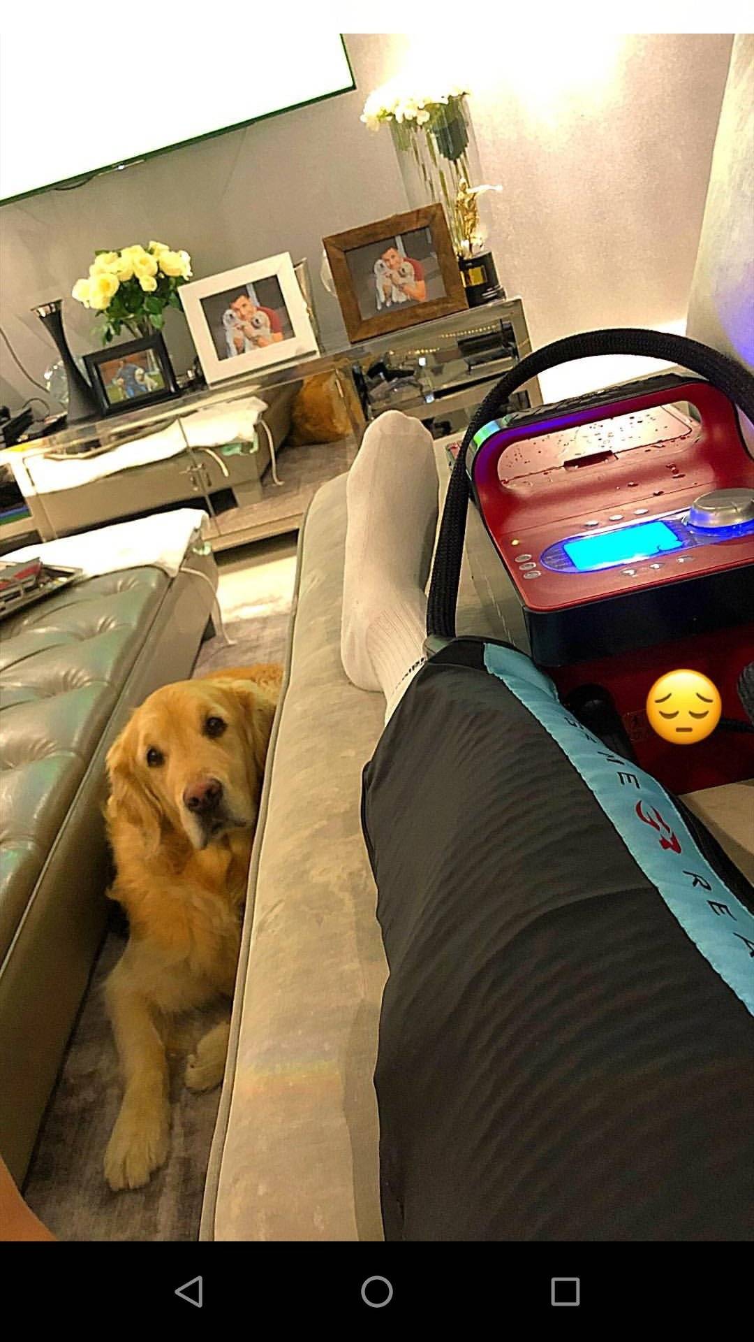 Alexis