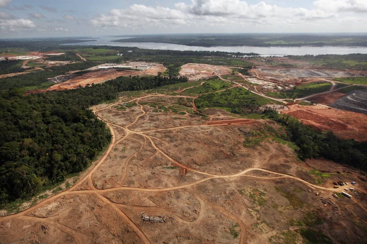 El Amazonas alcanza su mayor nivel de deforestación de los últimos años