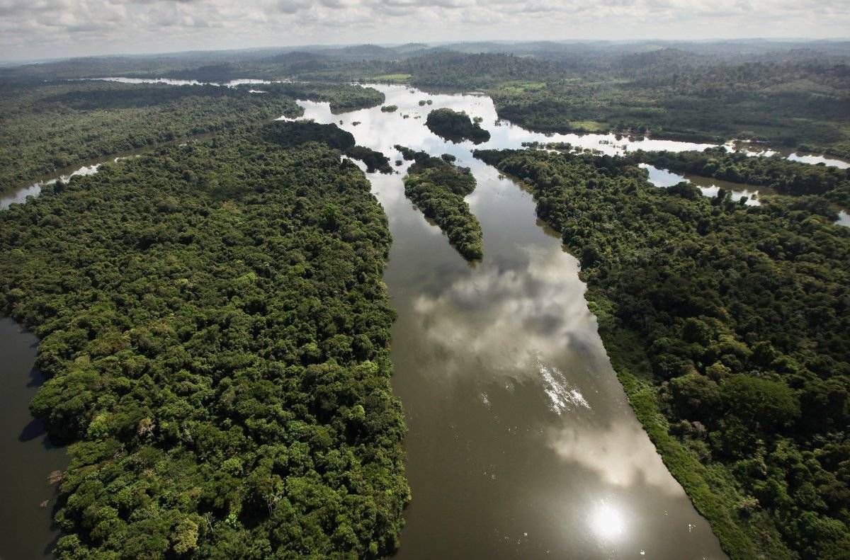 El Amazonas alcanza su mayor nivel de deforestación de los últimos años