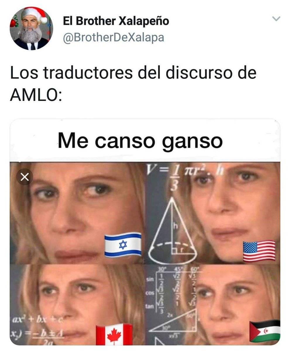 Me canso ganso