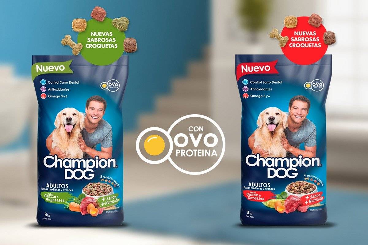 champion
