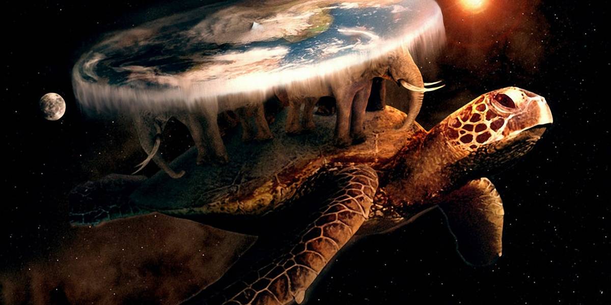 Una fotografía de una tortuga "con un mundo sobre su caparazón" se hizo famosa en internet y resultó ser real
