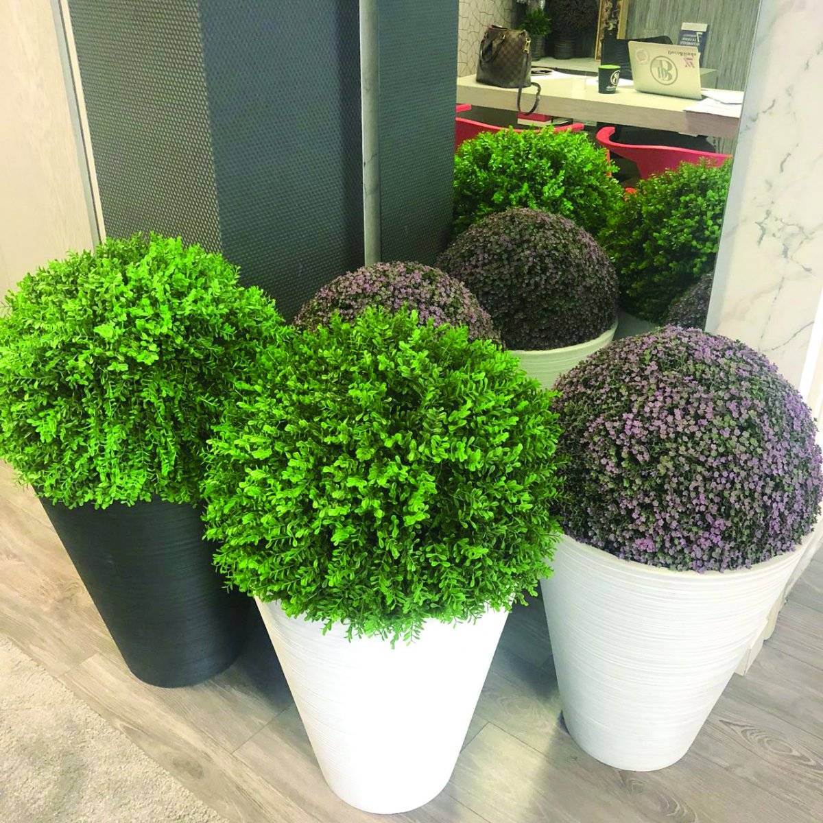 jardines verticales