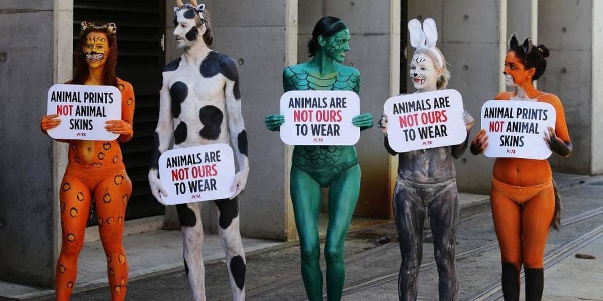 PETA pide cambiar refranes con animales para no discriminarlos PETA pide cambiar refranes con animales para no discriminarlos
