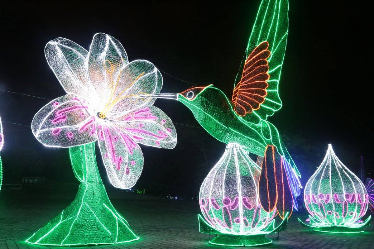 Alumbrados Navideños Medellín 2018