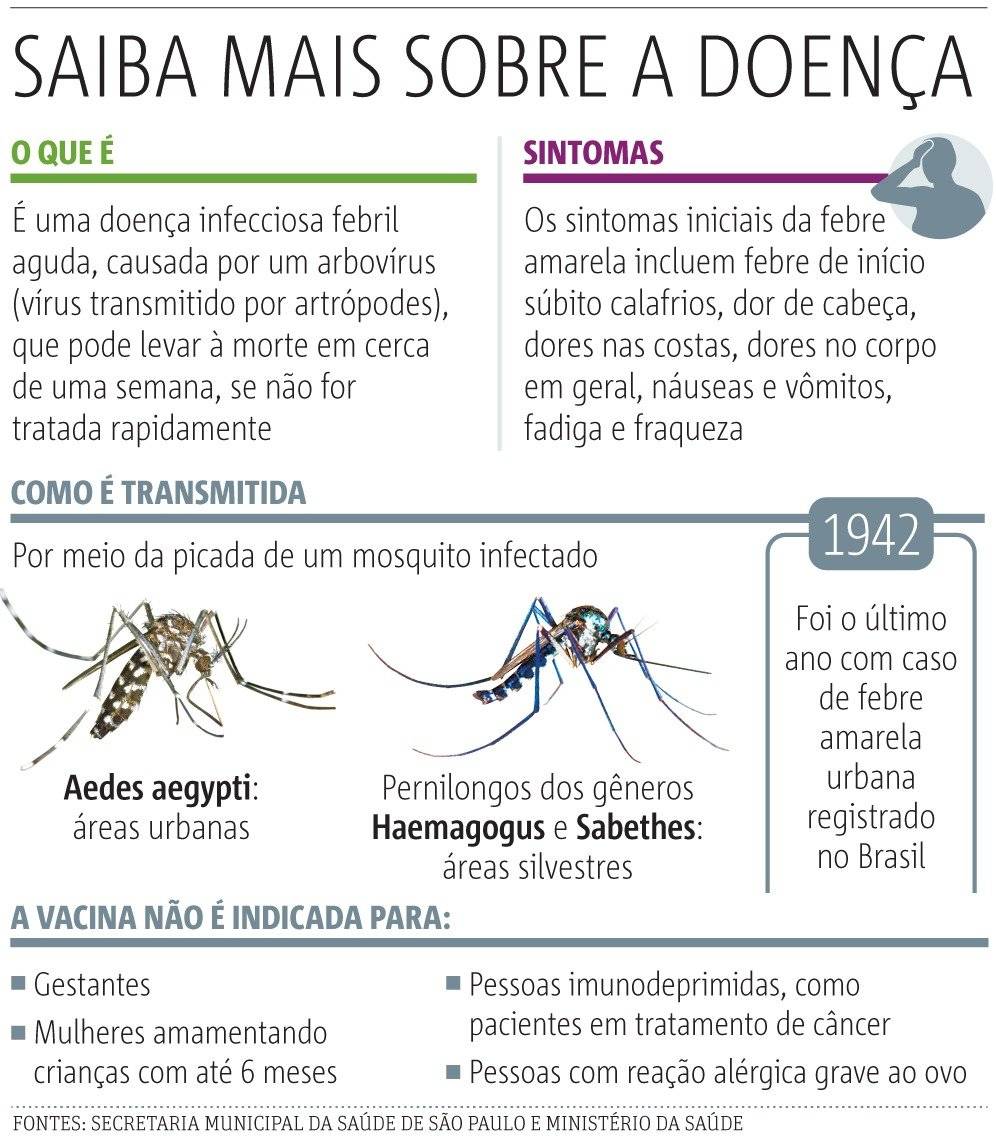 febre amarela arte