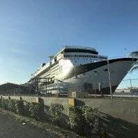Puertos pierde $22 millones debido al COVID-19