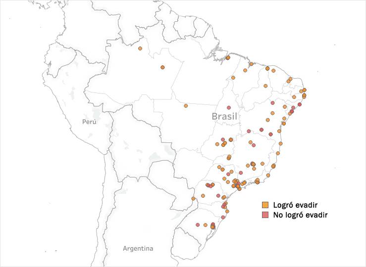 Brasil gráfica Brasil gráfica