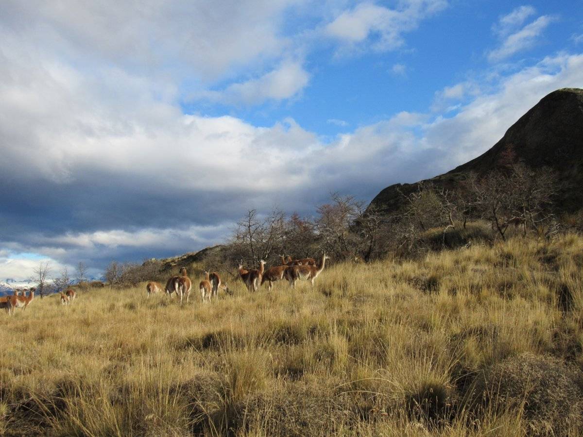 Parque Nacional Patagonia