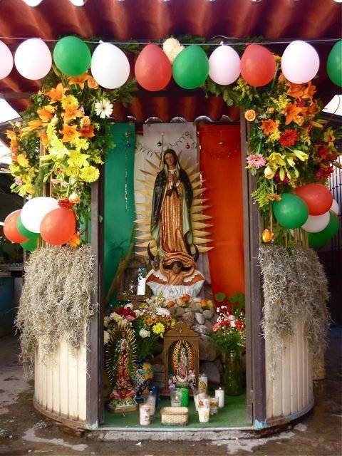 virgen de guadalupe