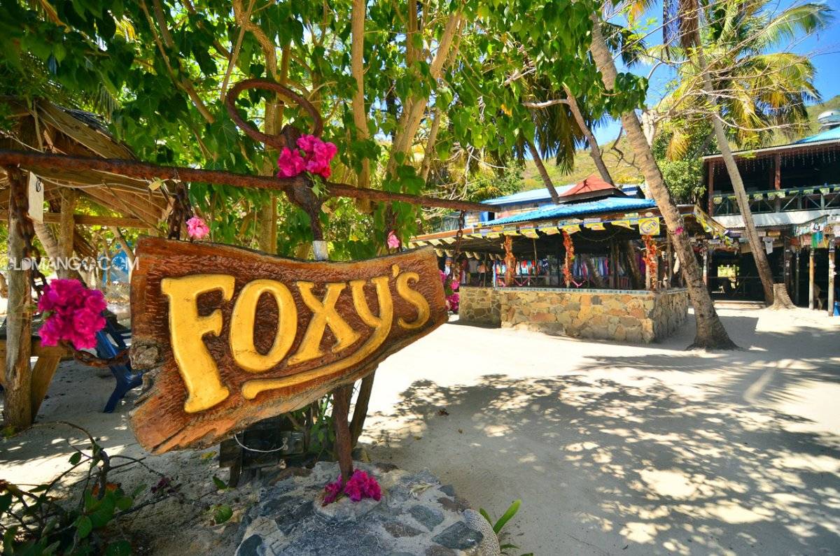 foxys