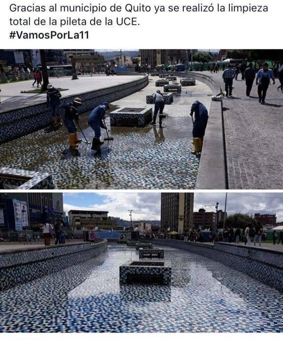 Municipio de Quito realizó limpieza de la pileta de la Universidad Central