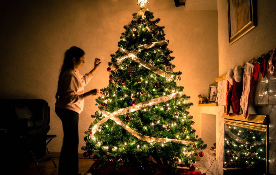 árbol de navidad árbol de navidad