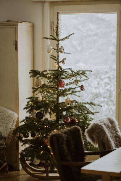 árbol de navidad árbol de navidad